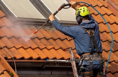 Démoussage et hydrofuge de toiture à Cuzieu